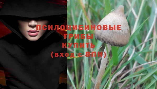 кокс Аркадак