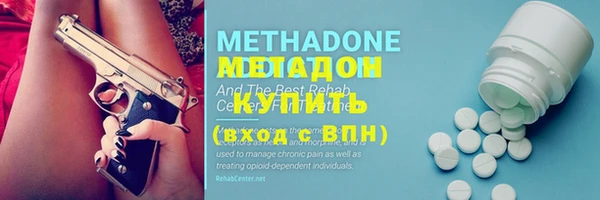 прущие грибы Армянск