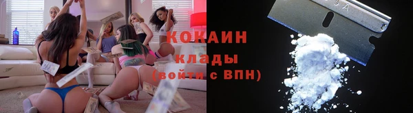 прущие грибы Армянск