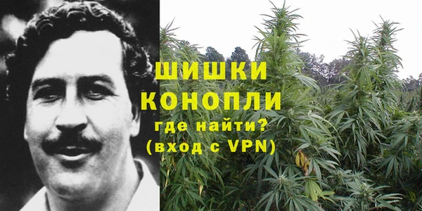 прущие грибы Армянск