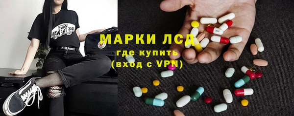 прущие грибы Армянск