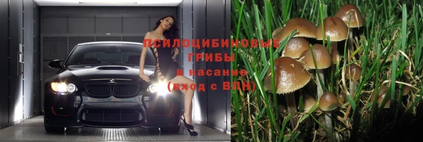 кокс Аркадак