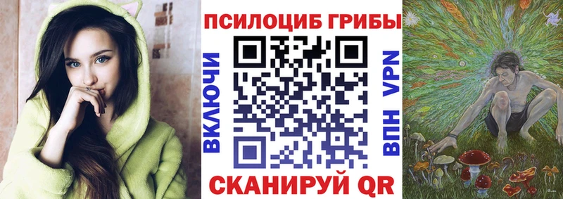 kraken ССЫЛКА  Волхов  Галлюциногенные грибы ЛСД  наркотики 